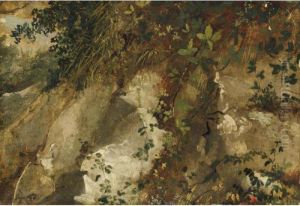 Scorcio Di Bosco
