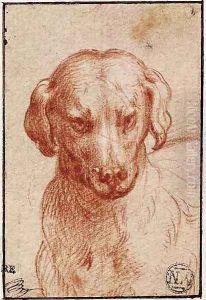 Head of a Dog