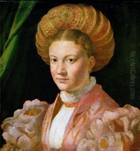 Portrait of a young woman, possibly Countess Gozzadini, c.1530