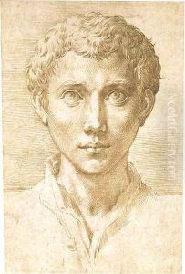 Head of a young man looking up