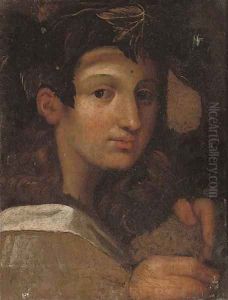 Head of the young Bacchus