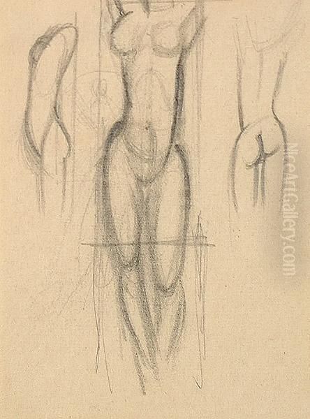 Studies Of A Female Torso, C.1927 - view 1