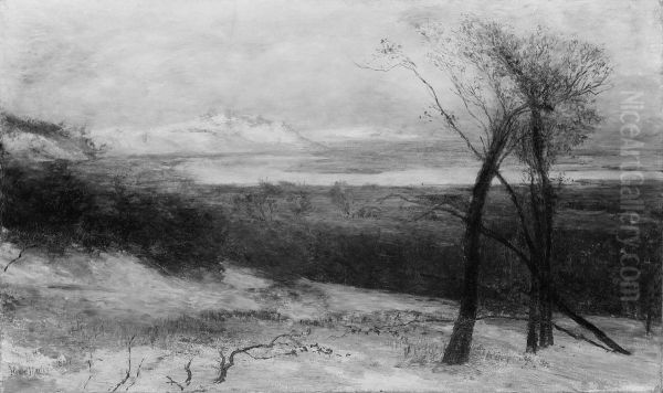 Behind Dunes, Lake Ontario - view 1