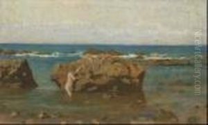 Scogliera Scogliera