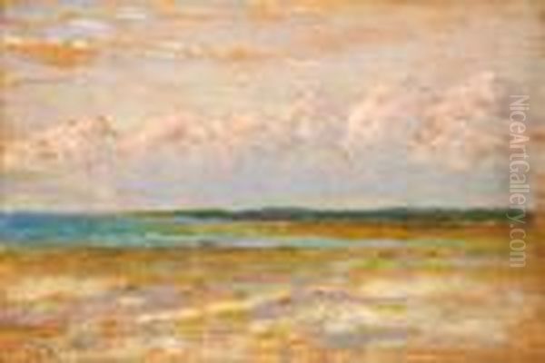 Marina Di Pisa - view 1