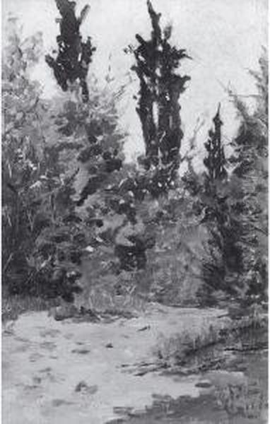 Paesaggio - view 1