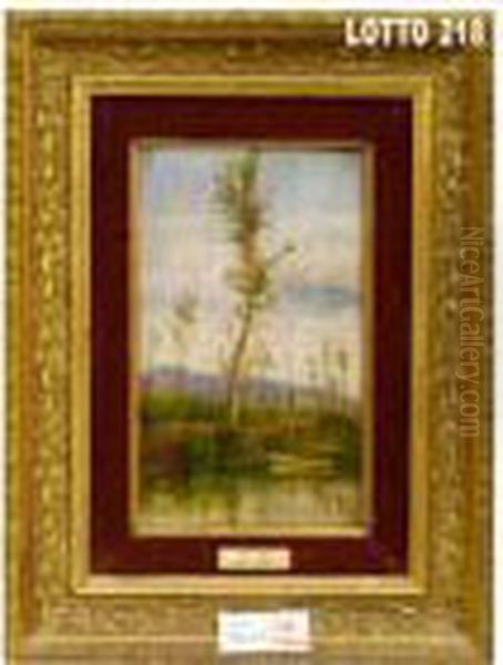 Paesaggiofluviale - view 1