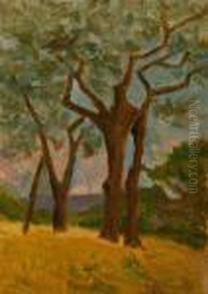 Paesaggio - view 1