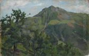 Colline A Fauglia
