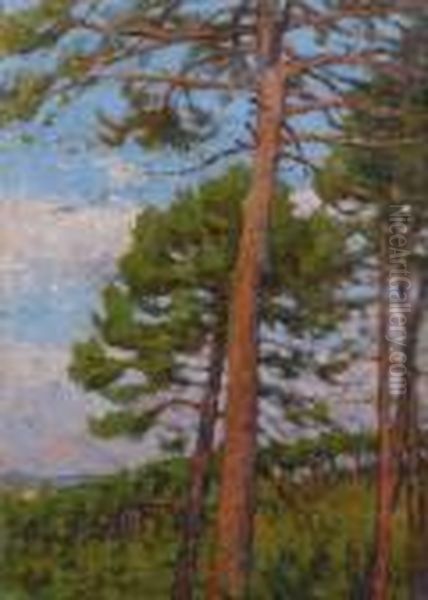 Il Pino - view 1