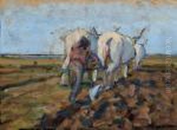 L'aratura - view 1