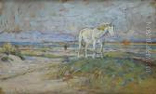 Cavallo Sull Spiaggia - view 1