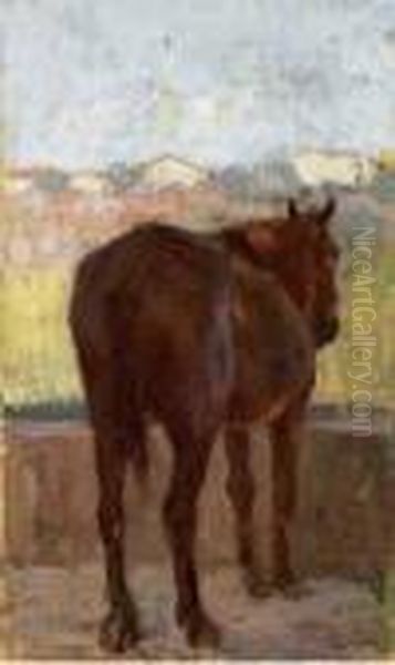 Cavallo - view 1