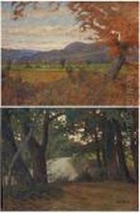 Strada Nel Bosco by Luigi Gioli