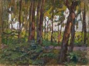 Pineta