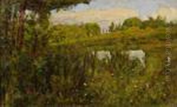Campagna Difauglia - view 1