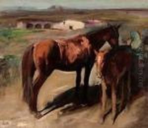 Cavalla E Puledro by Luigi Gioli