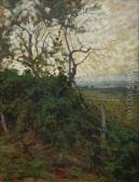 Campagna Toscana - view 1