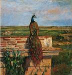 Il Pavone by Luigi Gioli