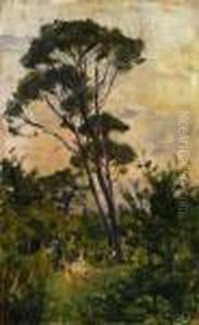 Paesaggio Con Alberi by Luigi Gioli