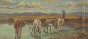 Firmato In Basso A Sinistra by Luigi Gioli