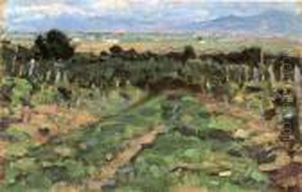 Panorama A Fauglia - view 1