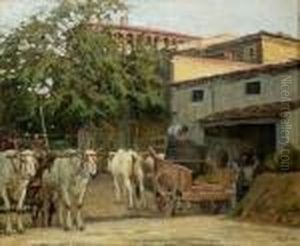 Vendemmia Vendemmia