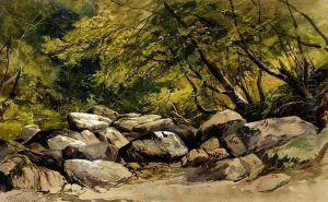 A Rocky Stream, Lyndale, Devon by William James Muller