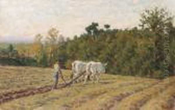 L'aratura Nei Campi - view 1