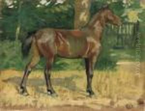 Il Puledro De La Casaccia by Luigi Gioli