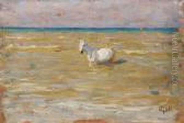 Cavallo In Riva Al Mare - view 1