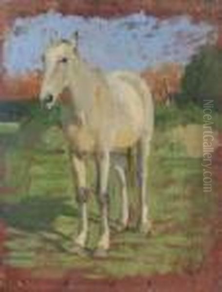 Cavallo - view 1