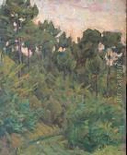Scorcio Di Bosco - view 1