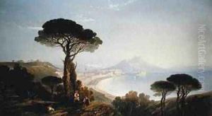 A view of the Bay of Naples by William James Muller