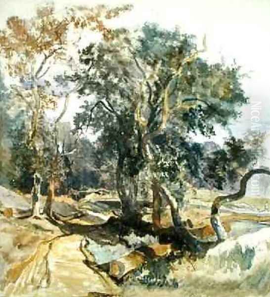 A Woodland Track - view 1