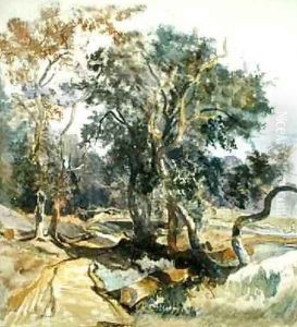 A Woodland Track thumbnail