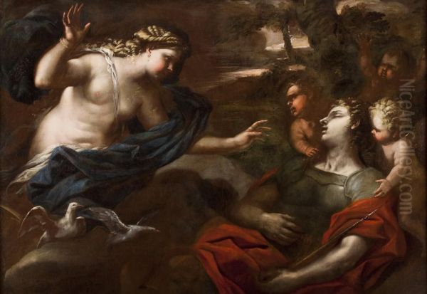 Venere E Adone - view 1