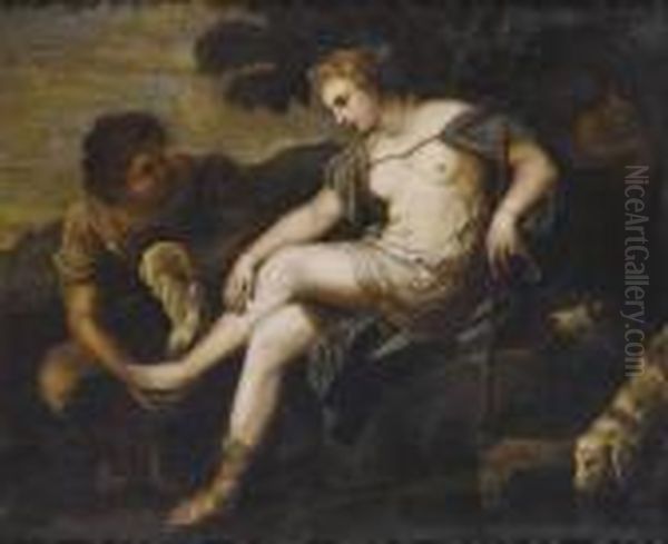 Venere E Adone - view 1
