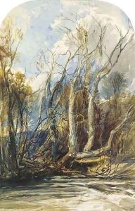 Vines on the bank of a river near Masry, Asia Minor