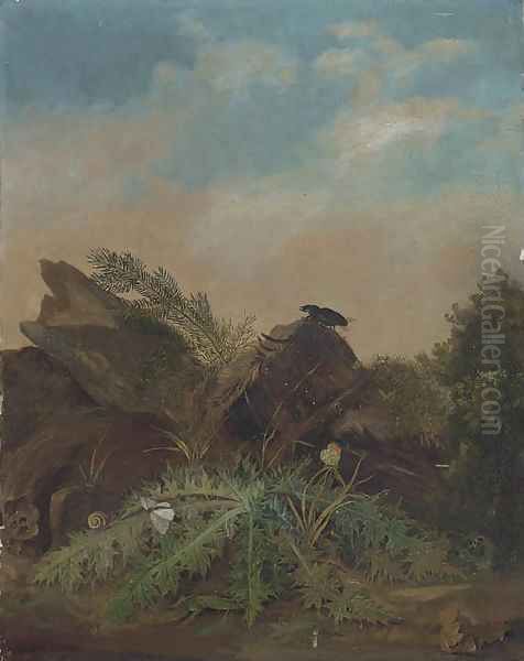 Study Of Butterflies, A Lizard, Snail And A Beetle On A Rocky Outcrop - view 1