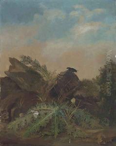 Study Of Butterflies, A Lizard, Snail And A Beetle On A Rocky Outcrop by William James Muller