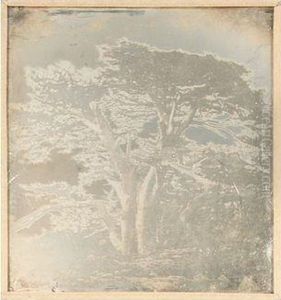 Bis. Liban, Les Cedres by Joseph Philibert Girault De Prangey