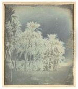 Assouan. P. Datiers. by Joseph Philibert Girault De Prangey