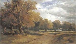 An wooded landscape with sheep An wooded landscape with sheep