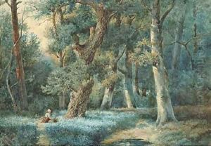 Gathering wood in the forest