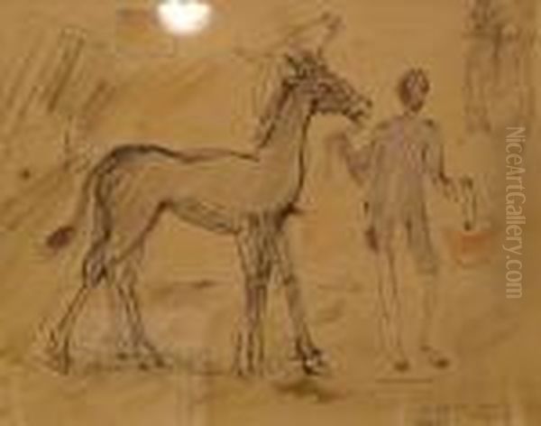 Au Box (serie Du Cheval A Deux Tetes) - view 1