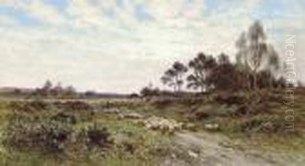 Midhurst Common, Sussex - view 1