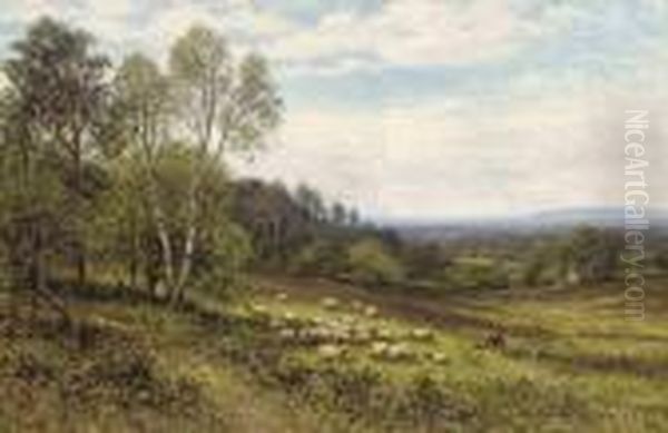 A Shepherd With His Flock - view 1