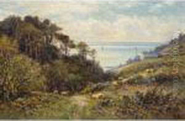 Coastal Ravine With Sheep Grazing - view 1
