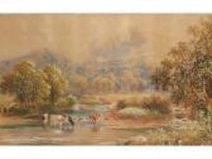 Cattle Watering In A River Cattle Watering In A River